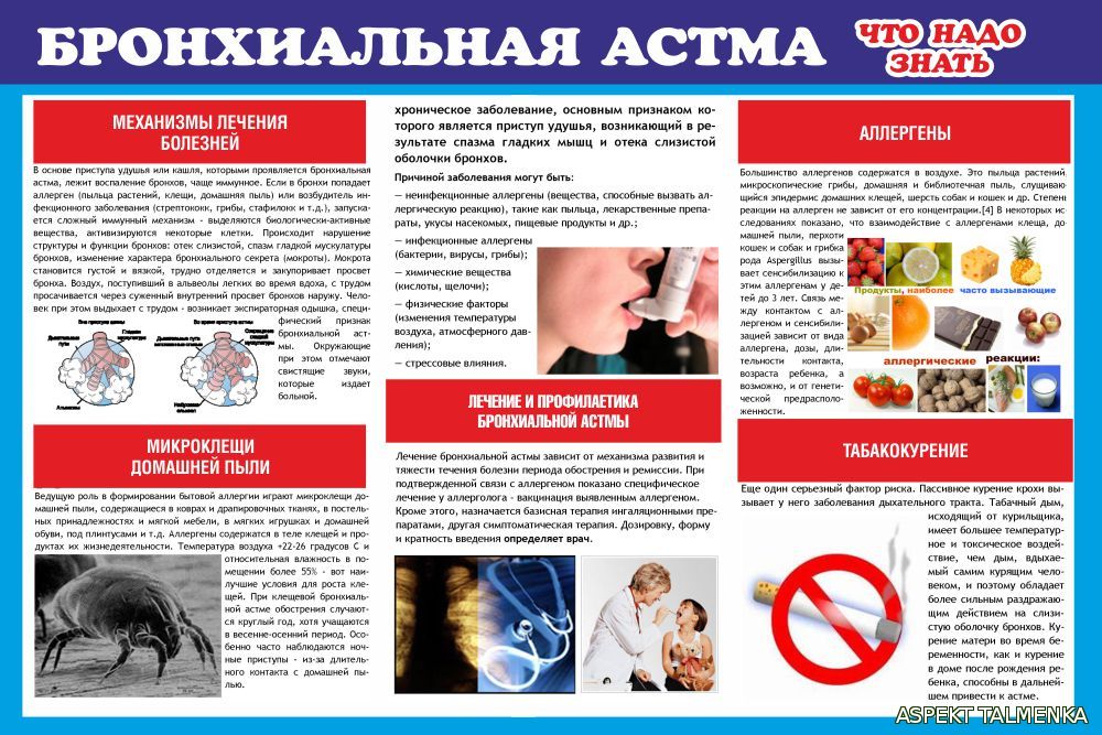 11 Den bronx astma list 4