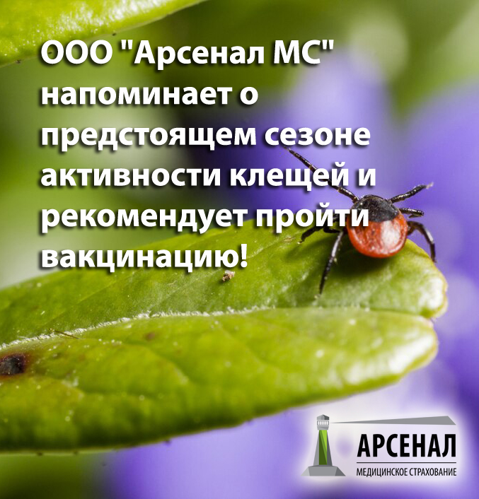 Ars kleschi