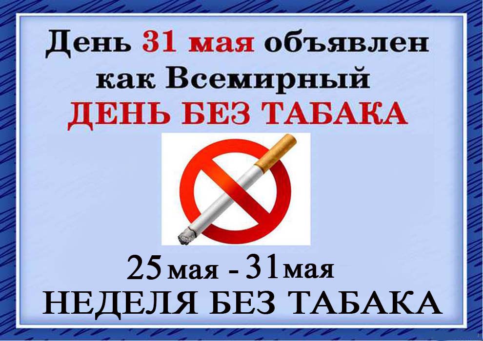 kyr Ned bez